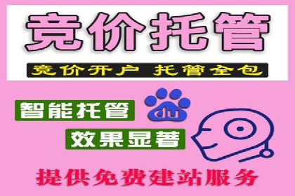 百度竞价排名案例分享：广告投放的技巧与误区